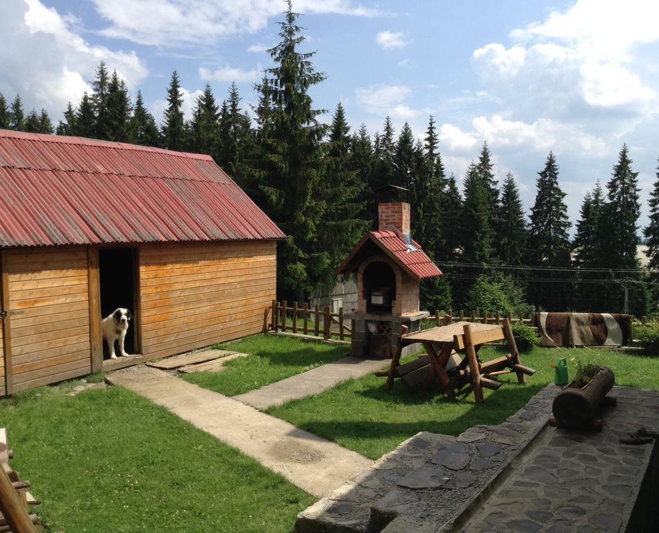 Pension Tofalvi Харгита-Бэй Экстерьер фото