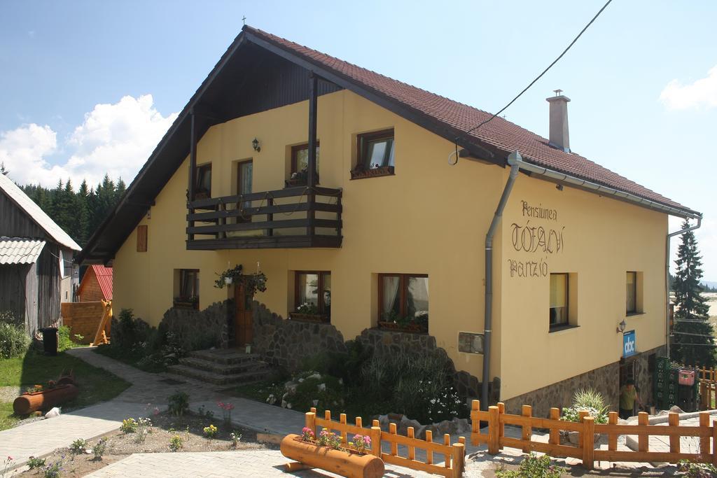 Pension Tofalvi Харгита-Бэй Экстерьер фото