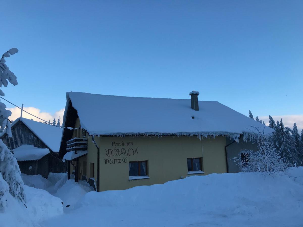 Pension Tofalvi Харгита-Бэй Экстерьер фото
